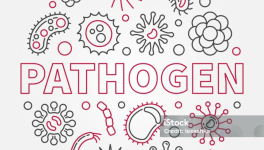 Partie 2 : La remise en question - Chap. 4 : Les agents pathogènes