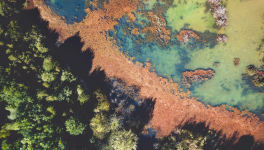 L'écosystème et l'entropie