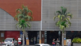 Autour de moi, il y a