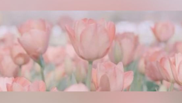 𝘗𝘦𝘯𝘴𝘦𝘻-𝘷𝘰𝘶𝘴 𝘲𝘶𝘦 𝘱𝘢𝘳𝘥𝘰𝘯𝘯𝘦𝘳, 𝘤'𝘦𝘴𝘵 ê𝘵𝘳𝘦 𝘧𝘢𝘪𝘣𝘭𝘦?