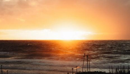 Chapitre 33 La vérité sur Rose et Pierre 