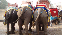 Un crochet dans le Rajasthan