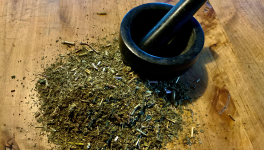 Le jardin du 22 Août, avec Hildegarde