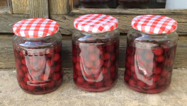 Le jardin du 1er Juillet