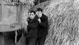 La Tête contre les murs (Georges Franju, 1959)