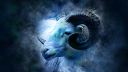 SIGNE ZODIACAL : BELIER