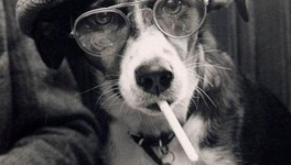 Refrain bien connu...