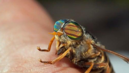 Il racconto rivelatore