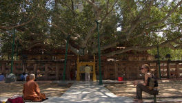 Sur les traces du Bouddha