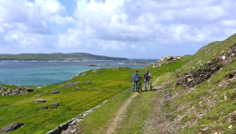 Rêverie Irlandaise