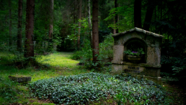 Du fond de mon tombeau