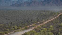 Pierre Goupillon victorieux ! 