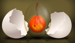 HOMMAGE  à  COCTEAU