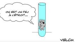 fécondation in vitro