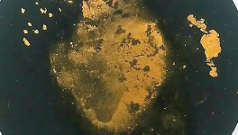 Heart (Acquis, indisponible à la vente)