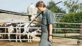 Petit Paysan (Hubert Charuel, 2017)