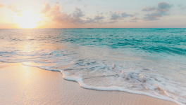 Chapitre 4 : dernière ligne droite