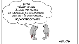 Les inconvénients de la voyance par téléphone