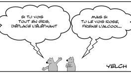 Elephant gris , éléphant rose