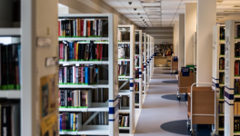 Épisode 3 : Pourquoi ?