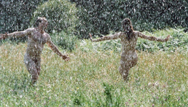 Lady Chatterley (Pascale Ferran, 2006)