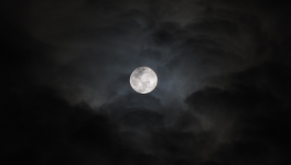 "A Town Full of Terror"