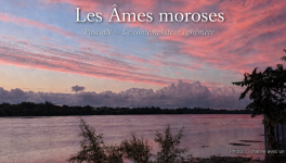 Les Âmes moroses