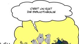 RATPSODIES - BEST OF SUMMER 2023 - 27