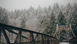 La neuvième maison de Leigh Bardugo