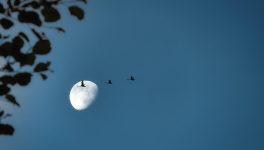 Sur ma lune