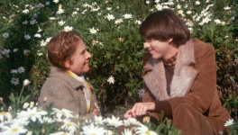 Harold et Maude (Harold and Maude, Hal Ashby, 1971)
