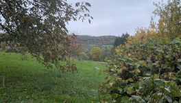 Le jardin du 29 Octobre