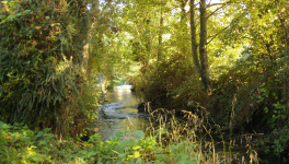 Au bord de "La Sinope"