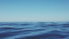 En eaux troubles