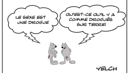 le sexe est une drogue?
