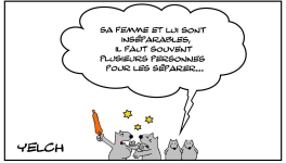 Durement inséparables