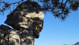 La psychologie des profondeurs moderne derrière les tragédies d'Uli Emanuele et de Gigi Wu