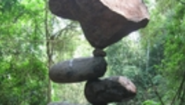 bonjour « L’AVENIR »