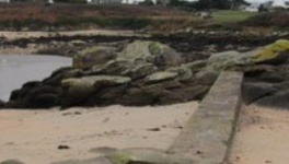 La petite sirène de l'Océan