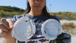 Small Hands, Big Impact