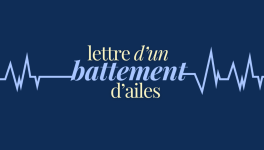 Lettre d'un battement d'ailes