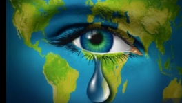 à quoi bon lutter ?!