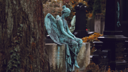 Demain je te rejoins