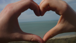 Symbolique du papillon (9) : Ouverture à l'autre