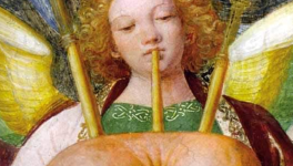 Saints Cygnes