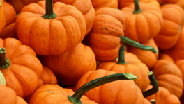 La fête du potiron d'Agatha Christie