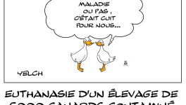 Canards de toute façon foutus