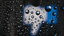 Les gourous du pouce