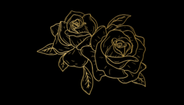 Chaptitre 1 : Nouveau Départ