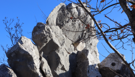 Deux Mondes : La Discrépance Fondamentale entre la Préservation Numérique et l'Économie de l'Attention Éphémère